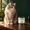 Aleriyo's Freeze Dried Hairball Relief Treats